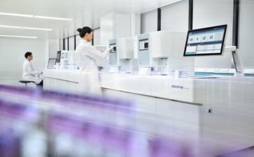 质量安全活动总结8篇