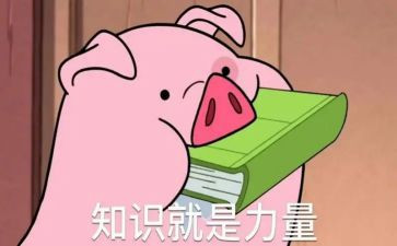 安全知识活动总结参考6篇