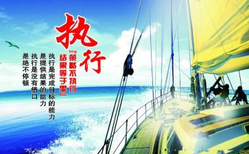 2024年执行述职报告范文6篇