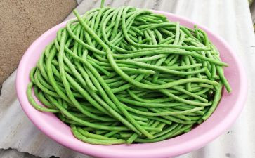 炒豆角作文6篇