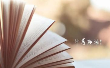 中考语文工作计划8篇