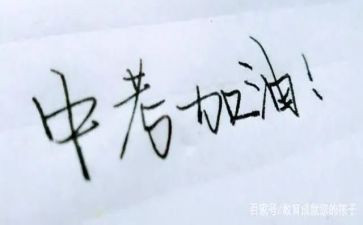 中考总结作文300字作文模板7篇