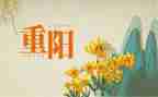 镇重阳活动总结最新6篇