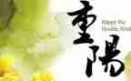 重阳节作文600字模板5篇
