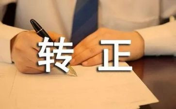 出纳转正工作总结模板5篇