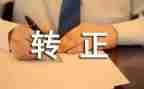 出纳转正工作总结模板5篇