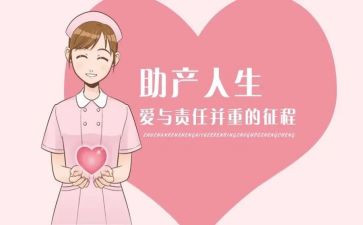助产年终总结个人总结7篇