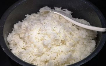 我煮饭了作文7篇