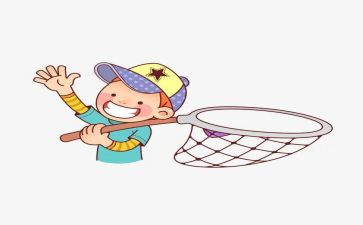 捉昆虫作文300字7篇