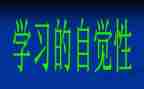 自由的孩子最自觉读后感6篇