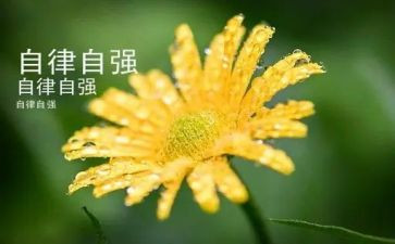 关于自强自立的演讲稿5篇
