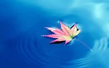 自然辩证法心得8篇