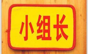 村组长竞选演讲稿范文6篇