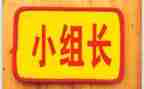 2023保育组长工作总结6篇