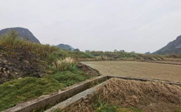 房屋简单租赁合同模板7篇