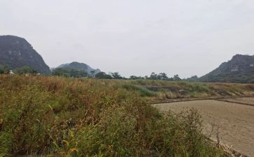 租赁合同市场模板6篇