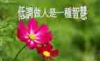 做人的观后感通用7篇
