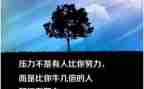 写座右铭的作文600字推荐7篇